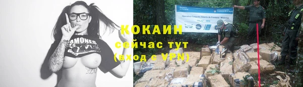 ПСИЛОЦИБИНОВЫЕ ГРИБЫ Абдулино
