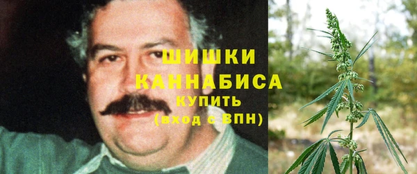 ПСИЛОЦИБИНОВЫЕ ГРИБЫ Абдулино