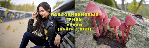 ПСИЛОЦИБИНОВЫЕ ГРИБЫ Абдулино