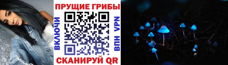 Галлюциногенные грибы ЛСД  Углегорск 